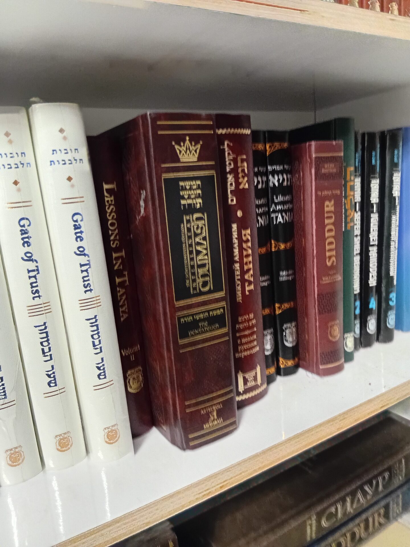 Chumash and study volumes on a shelf