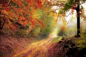 An open route ahead