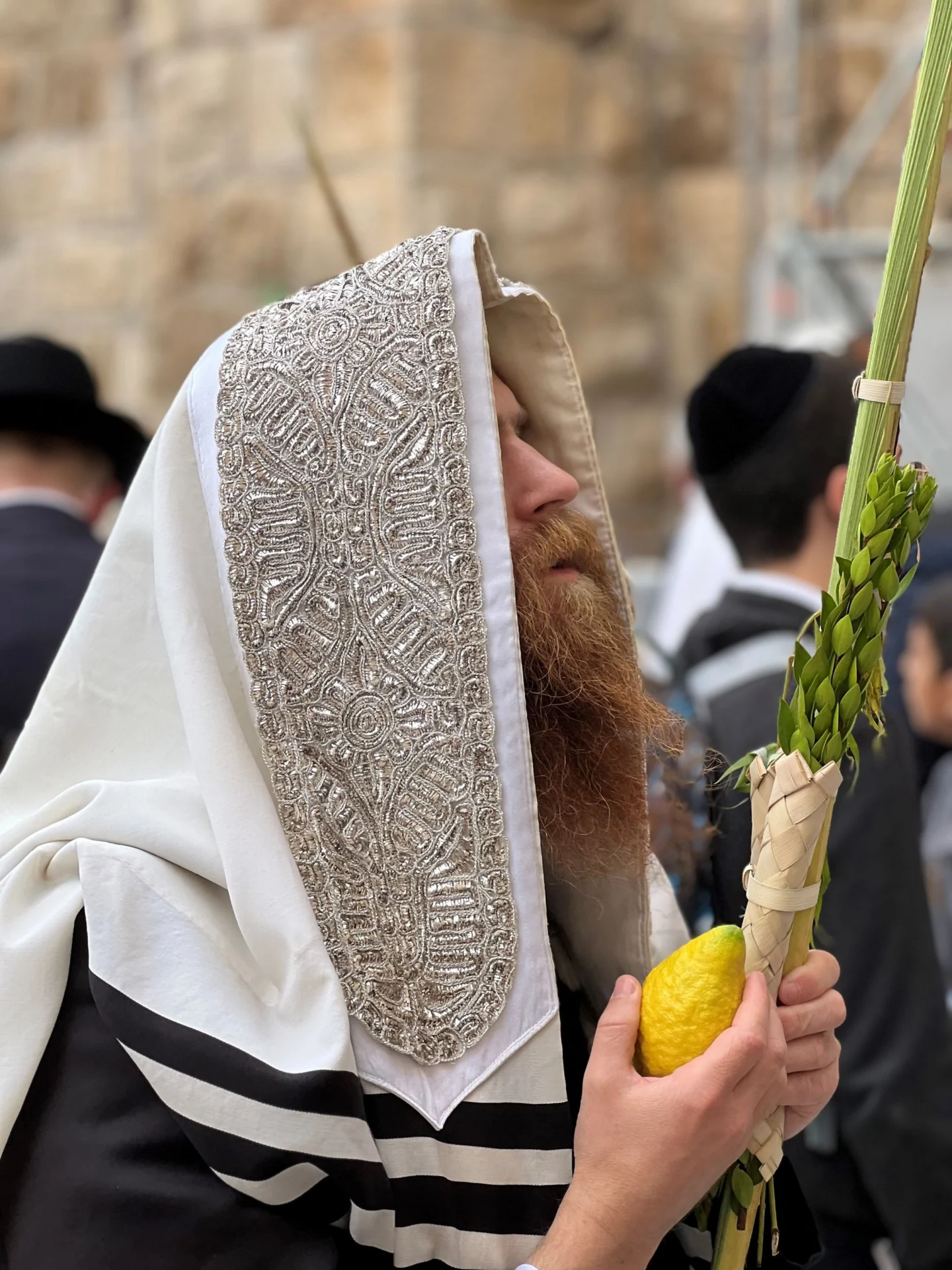 Lulav and etrog held for the blessing