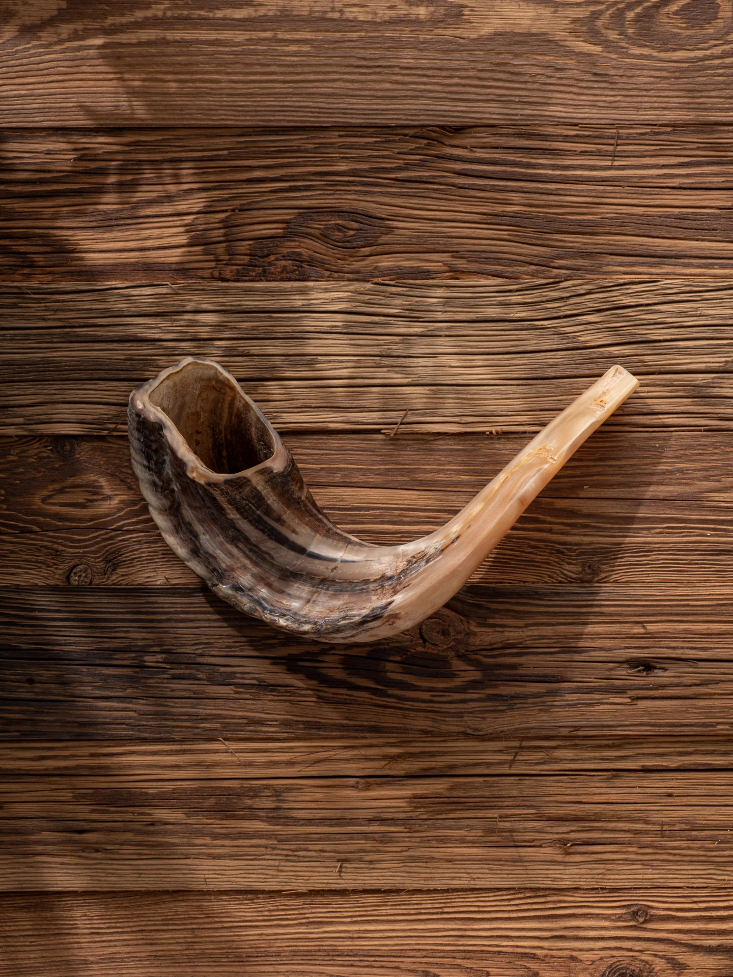 Ram's horn shofar on wood